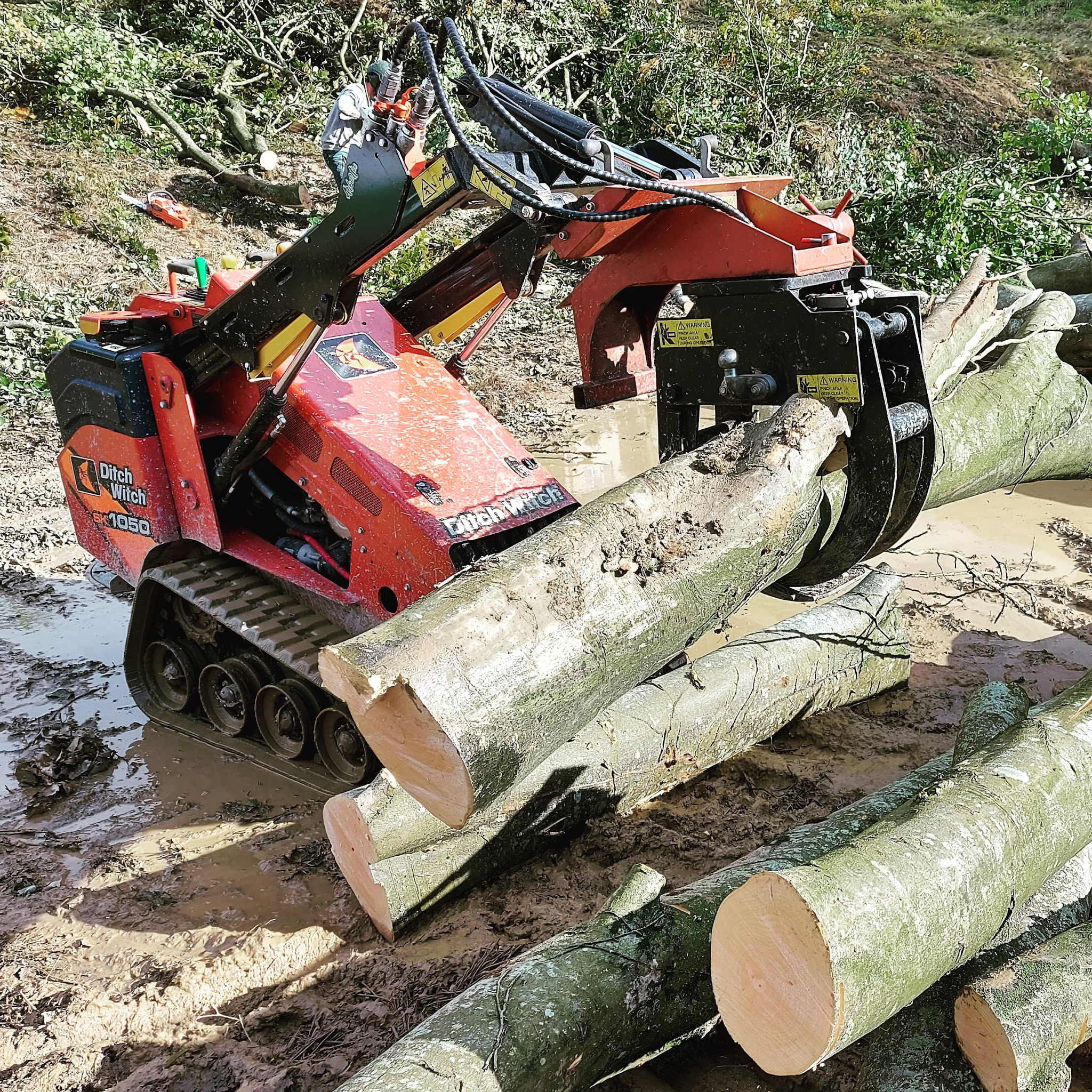 Orange Ditch Witch tracked loader moving freshly felled beech logs